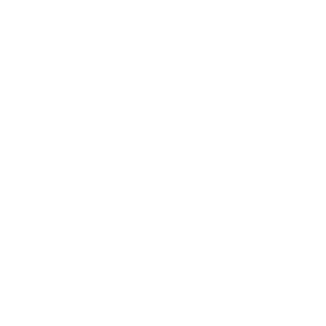 logo-verzera-white
